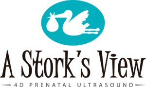 A Stork's View - 4D Ultrasound