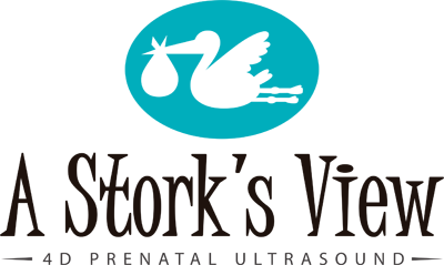A Storks View
